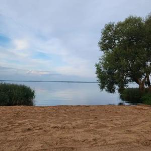 Усадьба Кроличья Нора  - 41