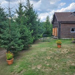 Усадьба Кроличья Нора  - 26