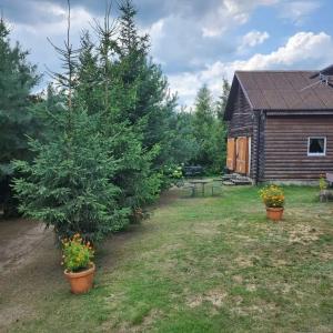 Усадьба Кроличья Нора  - 47