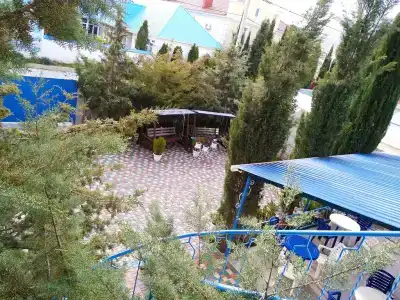 Виола Теслюк - 6