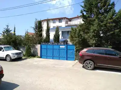 Виола Теслюк - 1