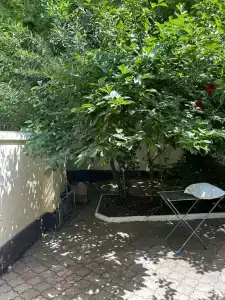 Уютный дворик - 18