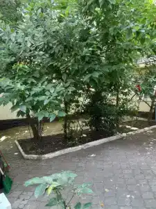 Уютный дворик - 40