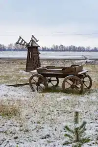 Медведефф Чердаклы - 11
