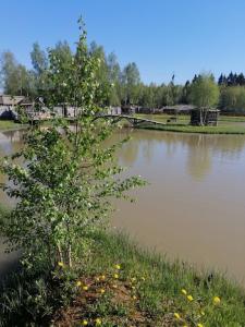 Окулова Заимка - 7