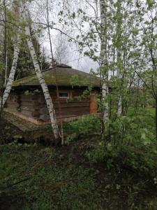 Окулова Заимка - 9