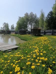 Окулова Заимка - 11