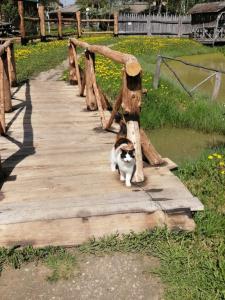 Окулова Заимка - 13