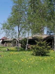 Окулова Заимка - 14