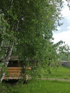 Окулова Заимка - 17