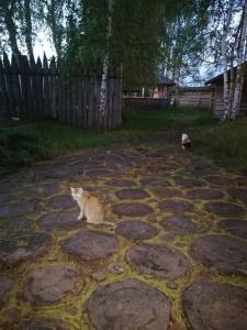 Окулова Заимка - 18