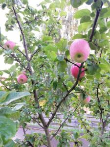 Окулова Заимка - 27