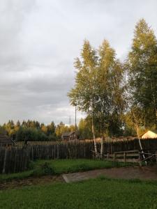 Окулова Заимка - 29