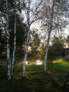 Окулова Заимка - 30