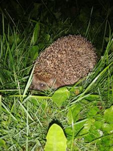 Окулова Заимка - 24