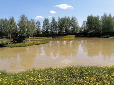 Окулова Заимка - 42