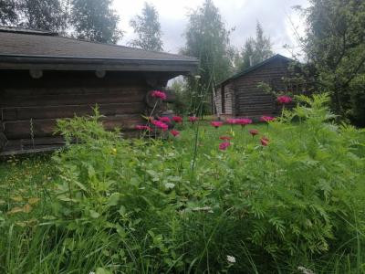 Окулова Заимка - 44