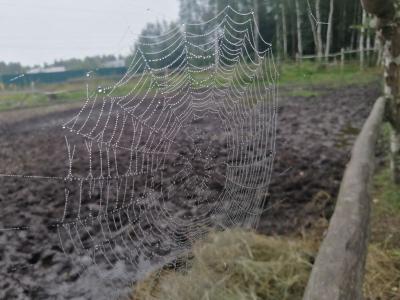 Окулова Заимка - 46