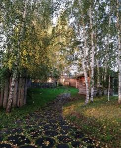 Окулова Заимка - 6