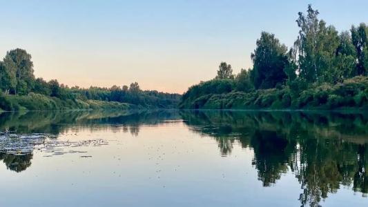 Князь Гвидон - 14