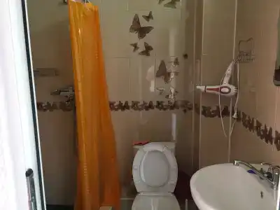 Стерх - 3