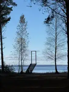 Берег Грифона - 25