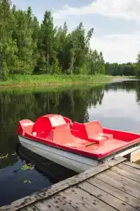 Берег Грифона - 46