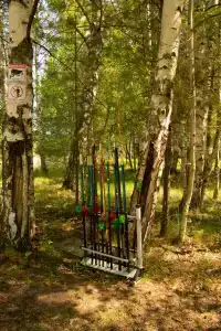 Берег Грифона - 52