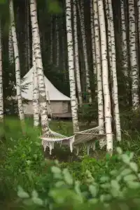 Берег Грифона - 81