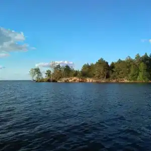 Берег Грифона - 86