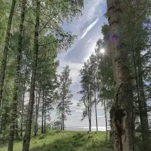 Берег Грифона - 88
