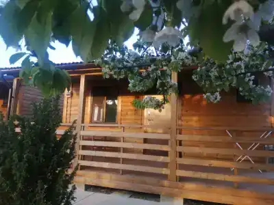 Светлячок - 20