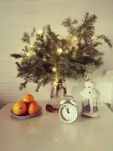 Светлячок - 41