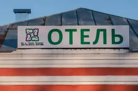 Базилик - 1