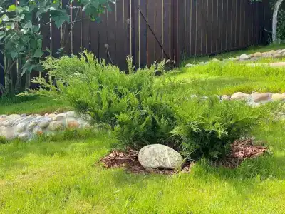 Soroсhanу Hills - 32