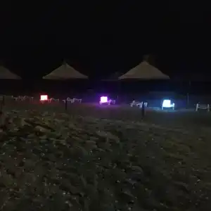 Золотые пески - 58