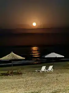 Золотые пески - 65