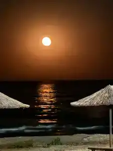 Золотые пески - 66