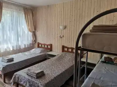 Камелия Gold - 27