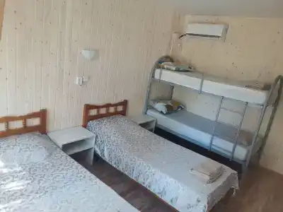 Камелия Gold - 28