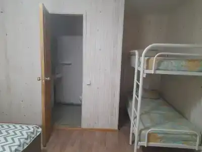 Камелия Gold - 30