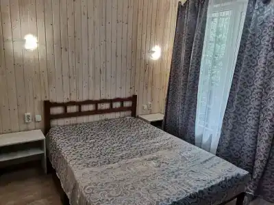 Камелия Gold - 25