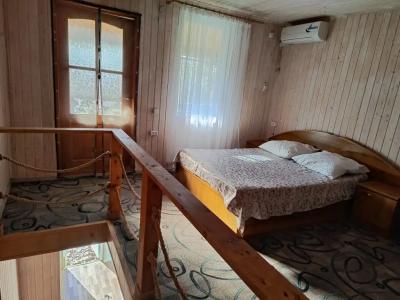 Камелия Gold - 47