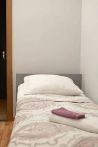 Мансарда - 25