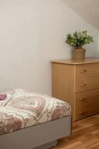 Мансарда - 24