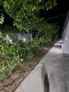 Южный Берег - 178