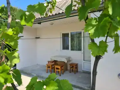 Южный Берег - 191