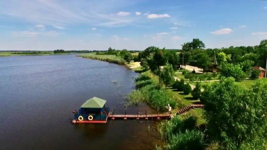 Лесная Нимфа - 0