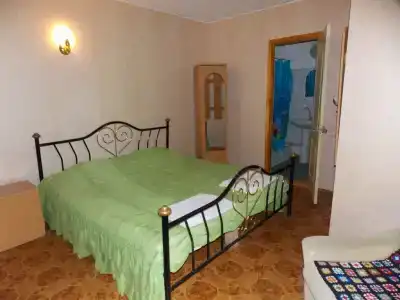 Зебра - 0
