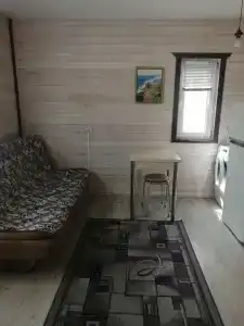 ТСН Фиолент 120к917 - 20